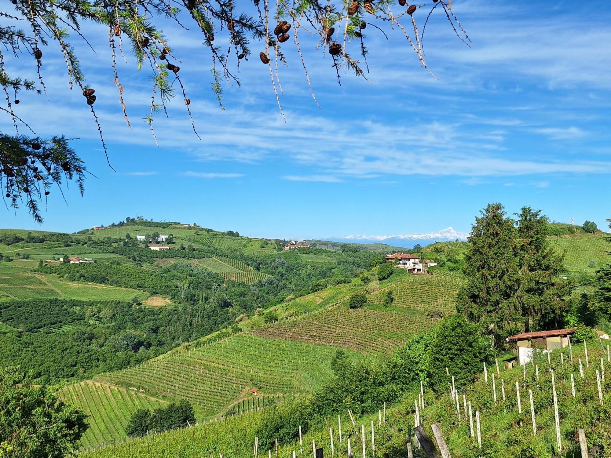 Agriturismo Ca Trinche Camo Dış mekan fotoğraf