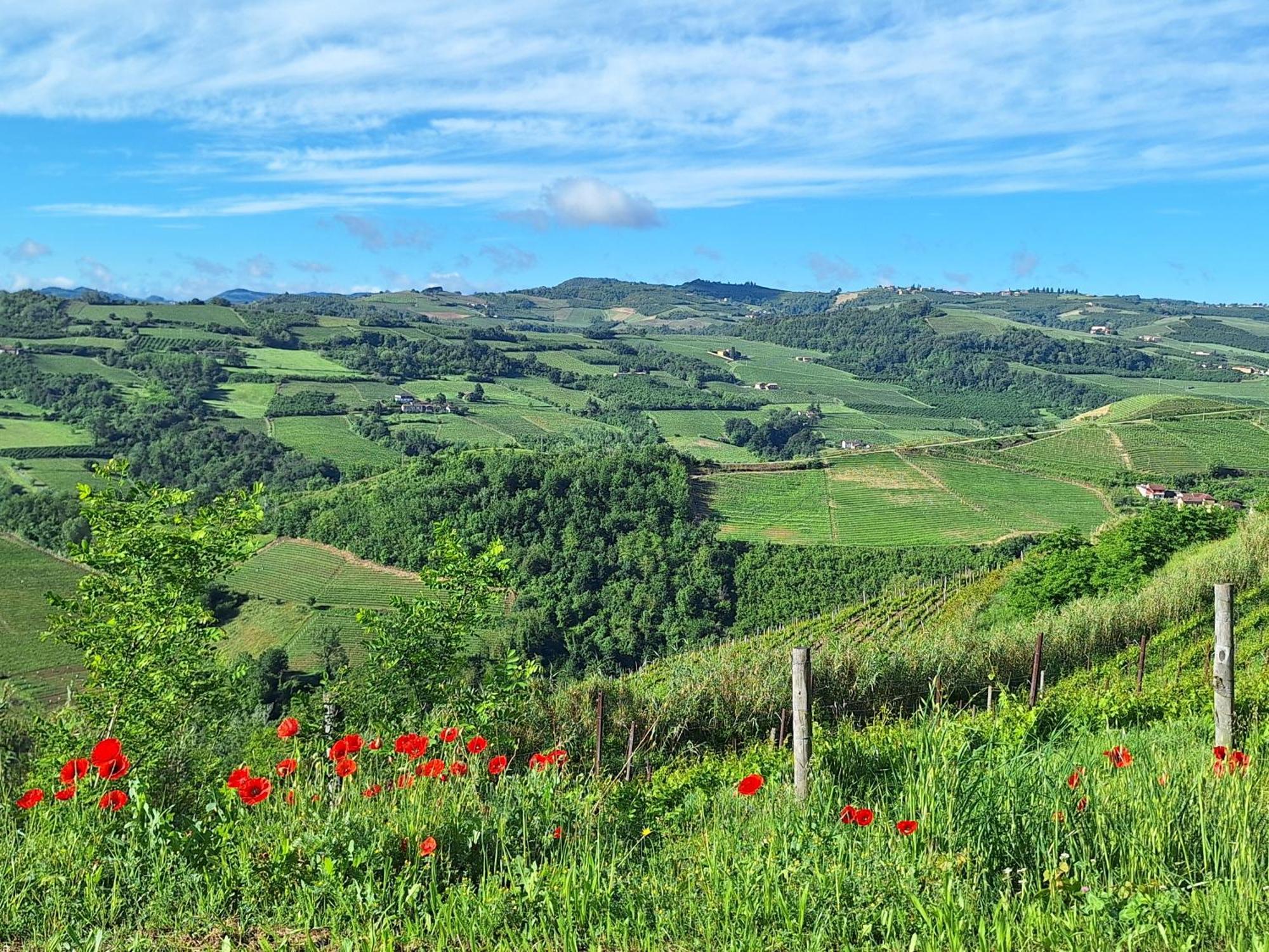 Agriturismo Ca Trinche Camo Dış mekan fotoğraf